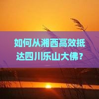 如何从湘西高效抵达四川乐山大佛？解答出行痛点，解锁最新攻略秘籍！