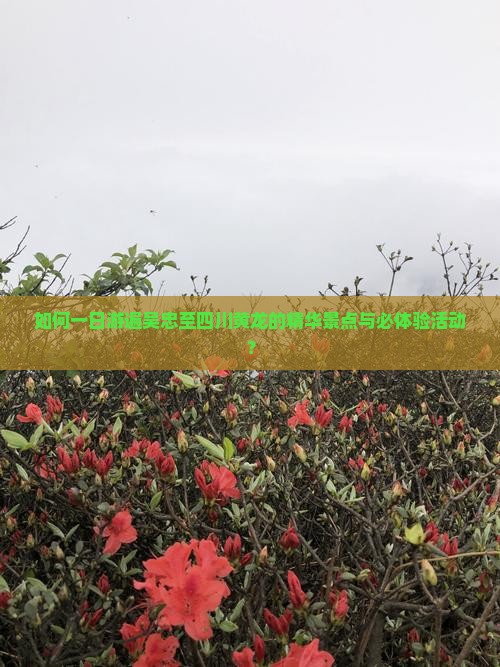 如何一日游遍吴忠至四川黄龙的精华景点与必体验活动？