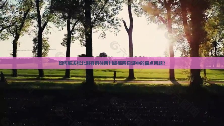 如何解决张北游客前往四川成都四日游中的痛点问题？