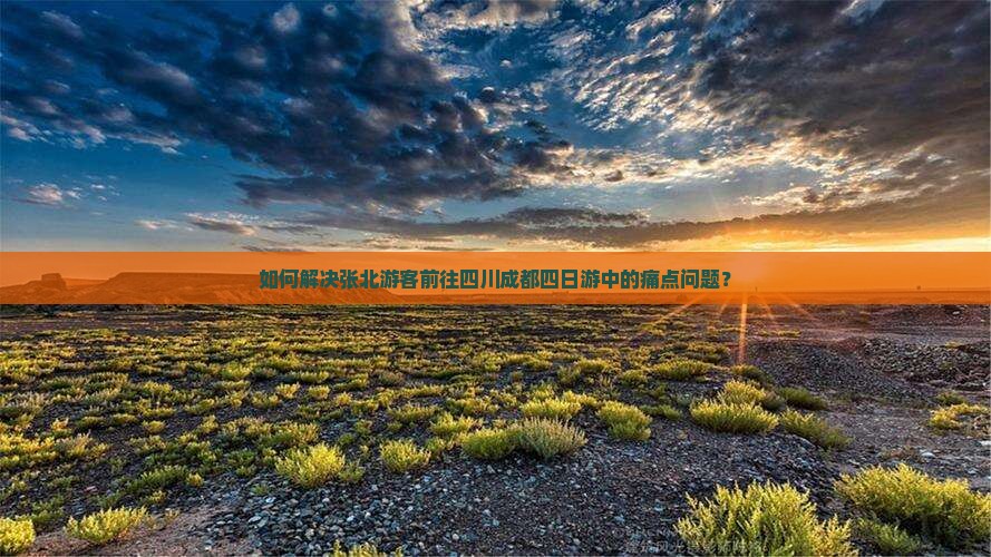 如何解决张北游客前往四川成都四日游中的痛点问题？