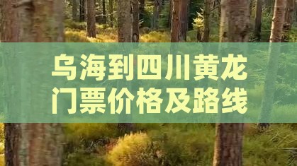 乌海到四川黄龙门票价格及路线与距离