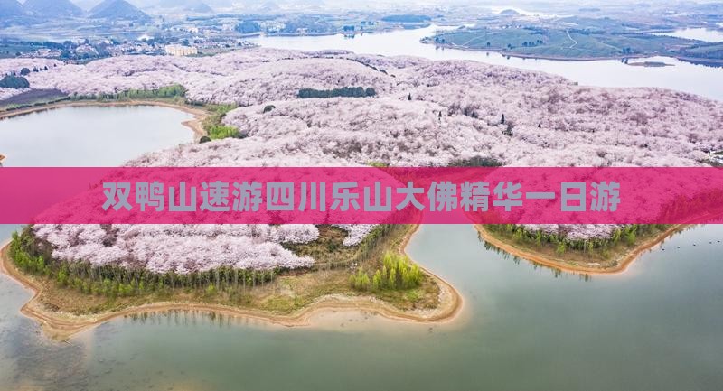 双鸭山速游四川乐山大佛精华一日游