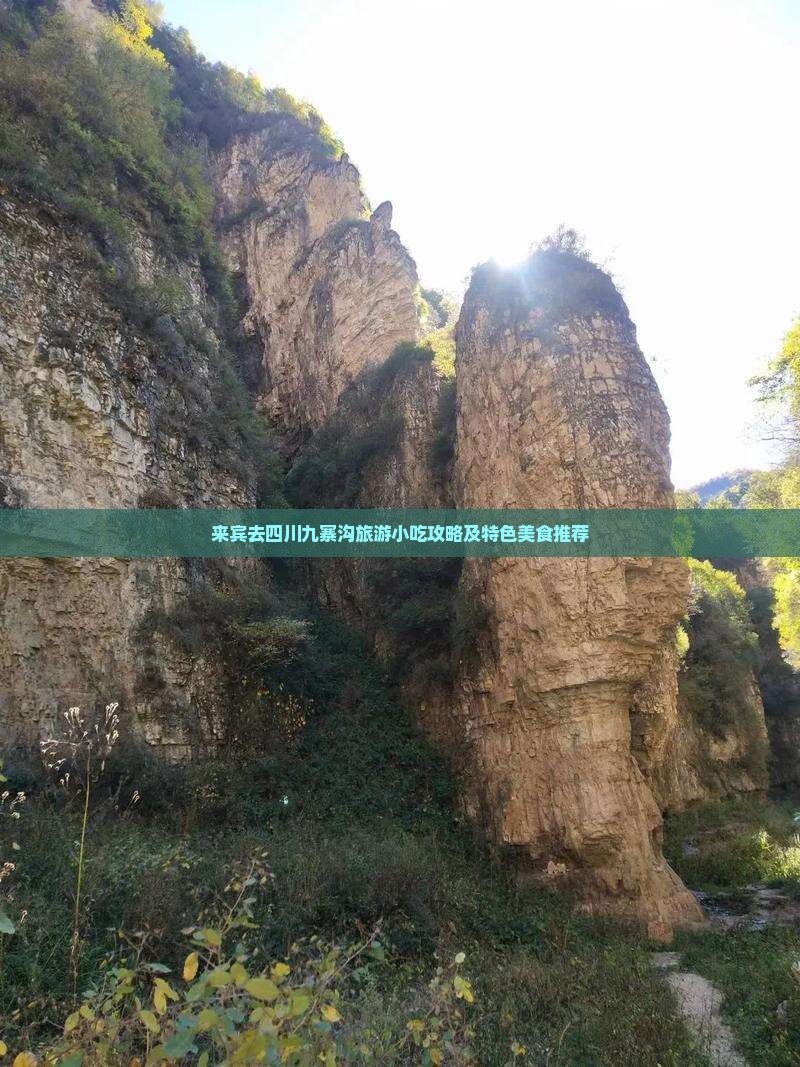 来宾去四川九寨沟旅游小吃攻略及特色美食推荐