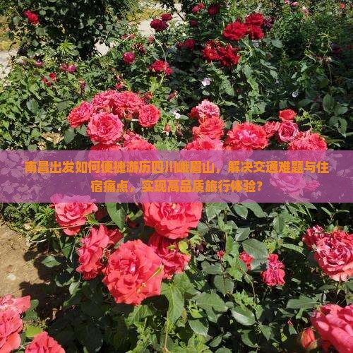 南昌出发如何便捷游历四川峨眉山，解决交通难题与住宿痛点，实现高品质旅行体验？