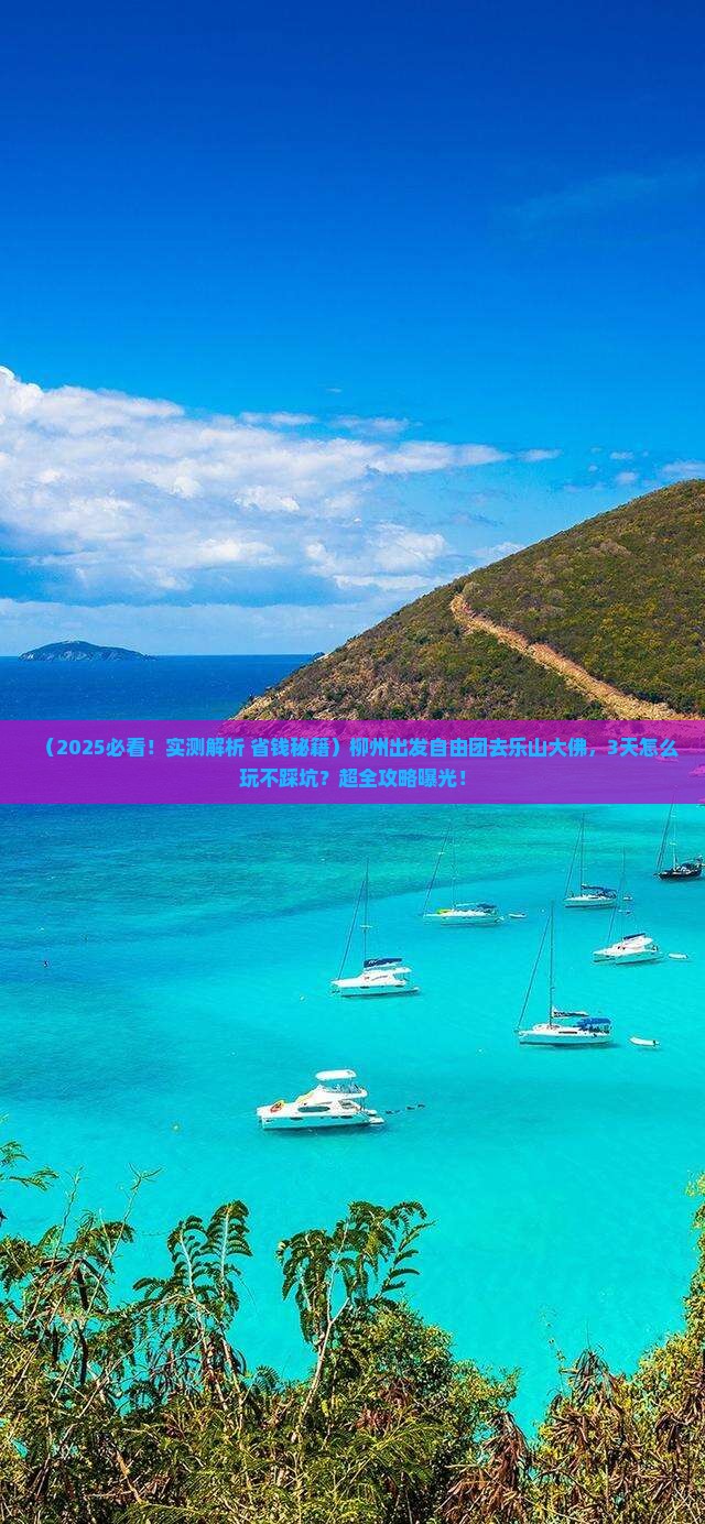 柳州到四川乐山大佛自由团