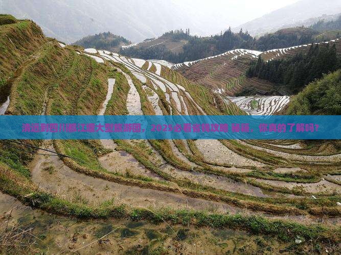 清远到四川都江堰大型旅游团