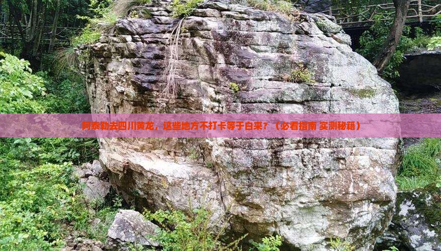 阿泰勒去四川黄龙必去地