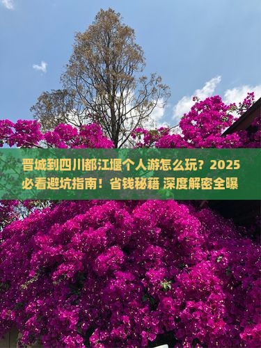 晋城到四川都江堰个人游 晋城到四川都江堰个人游