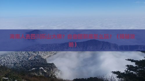 海南省直辖去四川乐山大佛自由团