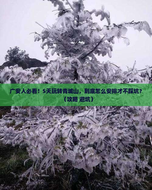 广安到四川青城山五日游