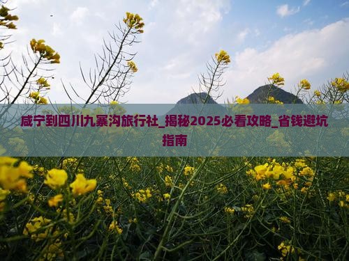 咸宁到四川九寨沟旅行社