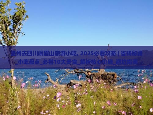 温州去四川峨眉山旅游小吃