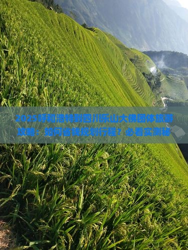 呼和浩特到四川乐山大佛团体旅游