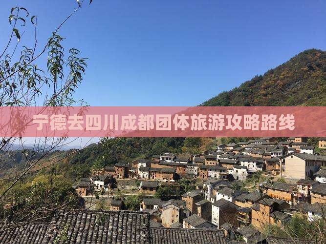 宁德去四川成都团体旅游