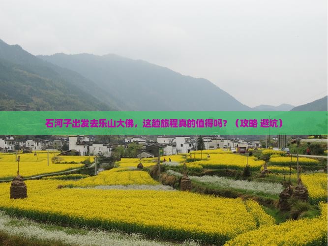 石河子去四川乐山大佛旅游