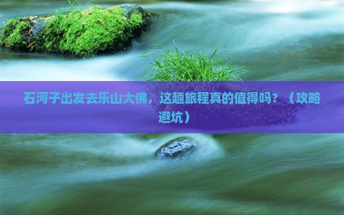 石河子去四川乐山大佛旅游