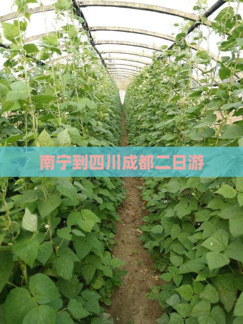 南宁到四川成都二日游