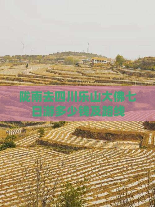 陇南去四川乐山大佛七日游