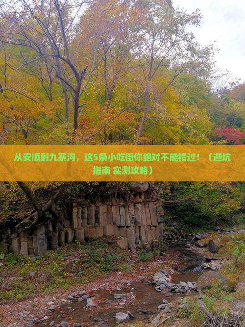 安顺去四川九寨沟旅游小吃
