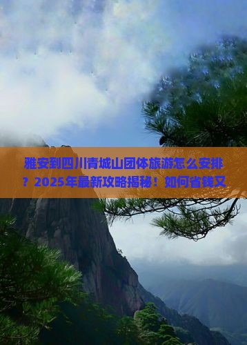 雅安到四川青城山团体旅游