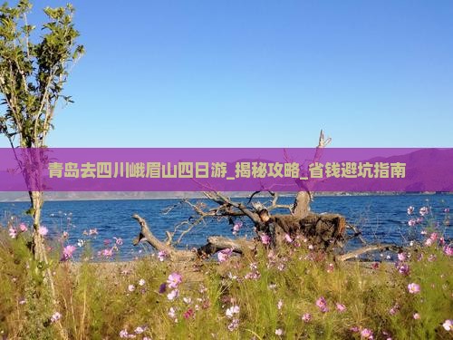 青岛去四川峨眉山四日游