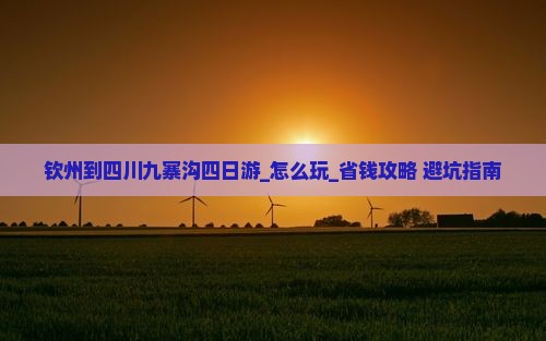 钦州到四川九寨沟四日游