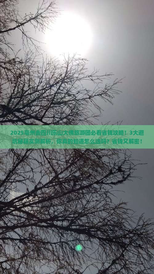 亳州去四川乐山大佛大型旅游团