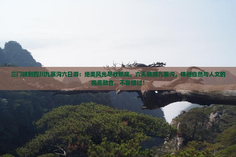 三门峡到四川九寨沟六日游