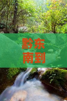 黔东南到四川九寨沟一日
