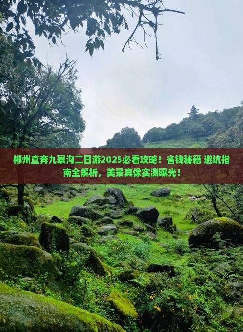 郴州去四川九寨沟二日游