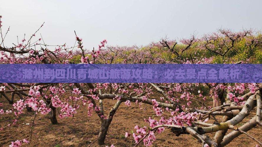 滁州到四川青城山必去地
