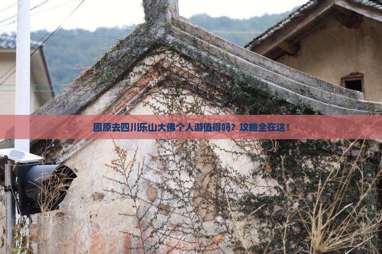 固原去四川乐山大佛个人游