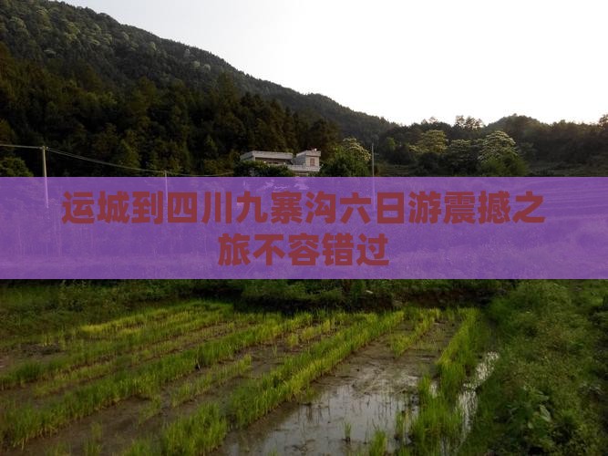 运城到四川九寨沟六日游