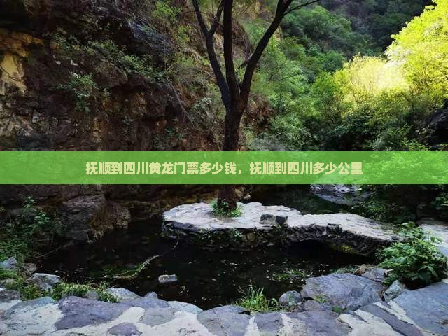 抚顺到四川黄龙门票