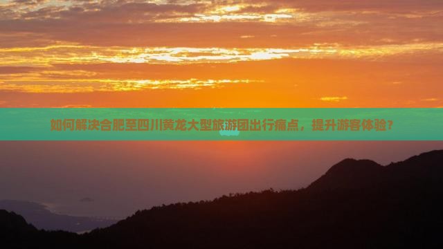 如何解决合肥至四川黄龙大型旅游团出行痛点，提升游客体验？