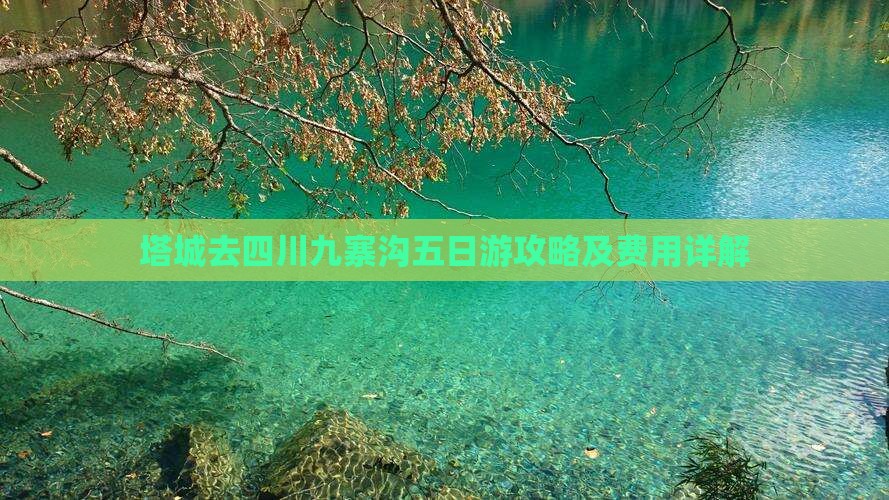 塔城去四川九寨沟五日游攻略及费用详解