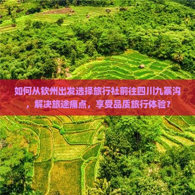 如何从钦州出发选择旅行社前往四川九寨沟，解决旅途痛点，享受品质旅行体验？