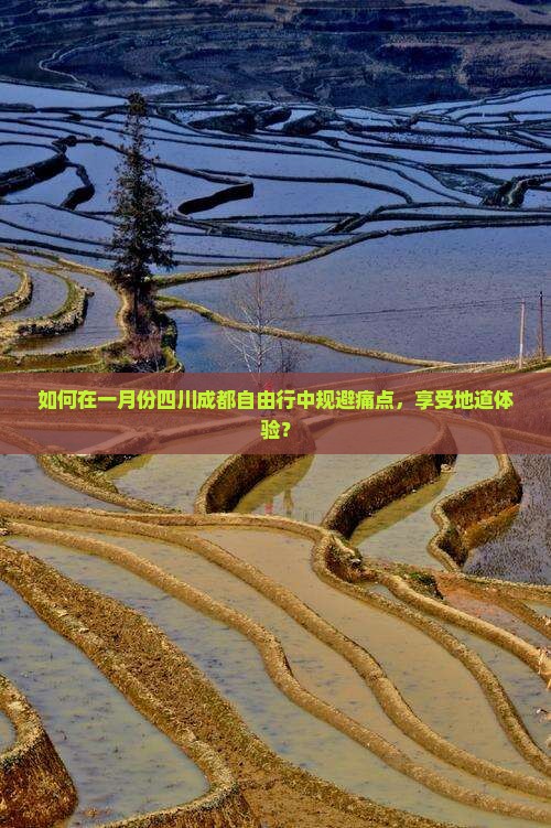 如何在一月份四川成都自由行中规避痛点，享受地道体验？