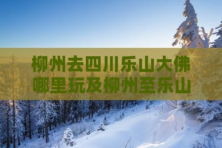 柳州去四川乐山大佛哪里玩及柳州至乐山距离