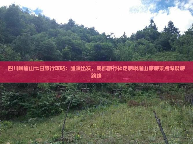 四川峨眉山七日旅行攻略：醴陵出发，成都旅行社定制峨眉山旅游景点深度游路线