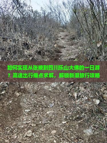 如何实现从张掖到四川乐山大佛的一日游？高速出行痛点求解，解锁新潮旅行攻略！