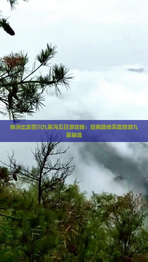 株洲出发四川九寨沟五日游攻略：经典路线深度旅游九寨秘境