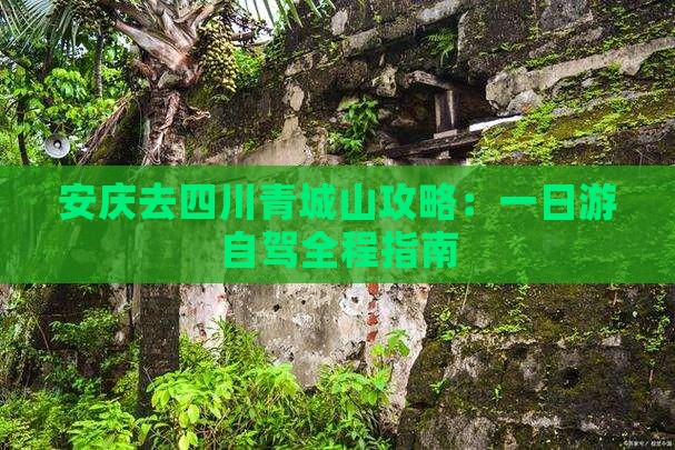 安庆去四川青城山攻略：一日游自驾全程指南