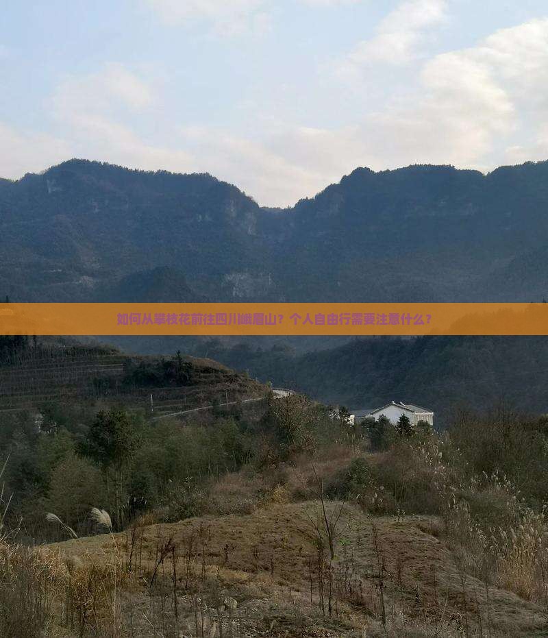 如何从攀枝花前往四川峨眉山？个人自由行需要注意什么？