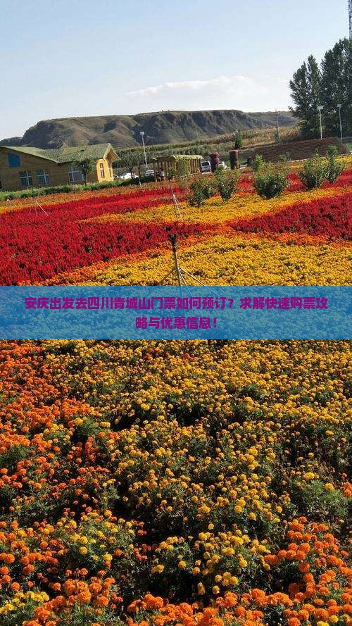 安庆出发去四川青城山门票如何预订？求解快速购票攻略与优惠信息！
