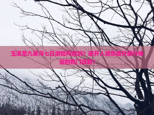 玉溪至九寨沟七日游如何规划？避开人潮及提升旅行体验的热门攻略！