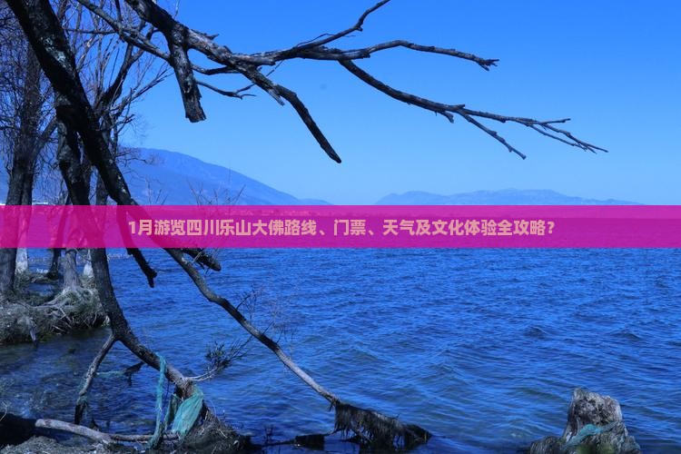 1月游览四川乐山大佛路线、门票、天气及文化体验全攻略？