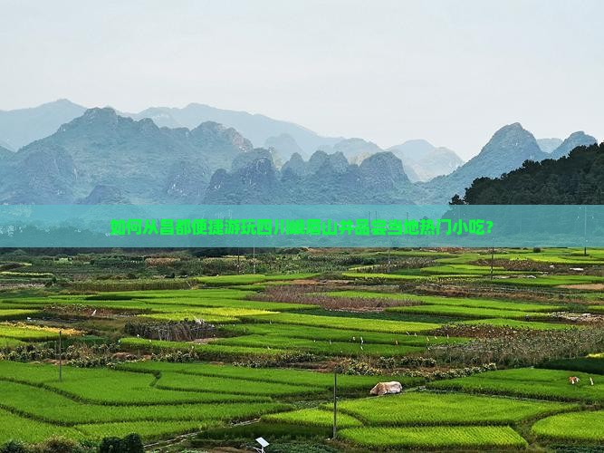 如何从昌都便捷游玩四川峨眉山并品尝当地热门小吃？