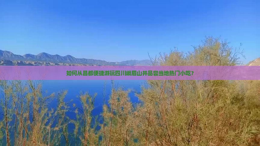 如何从昌都便捷游玩四川峨眉山并品尝当地热门小吃？