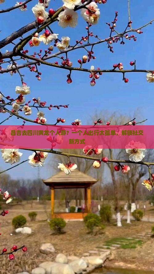昌吉去四川黄龙个人游？一个人出行太孤单，解锁社交新方式